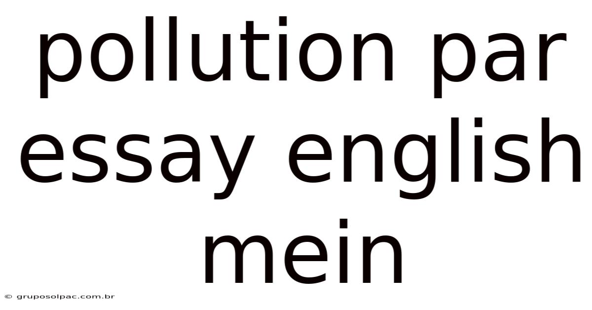 Pollution Par Essay English Mein