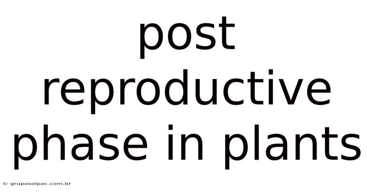 Post Reproductive Phase In Plants