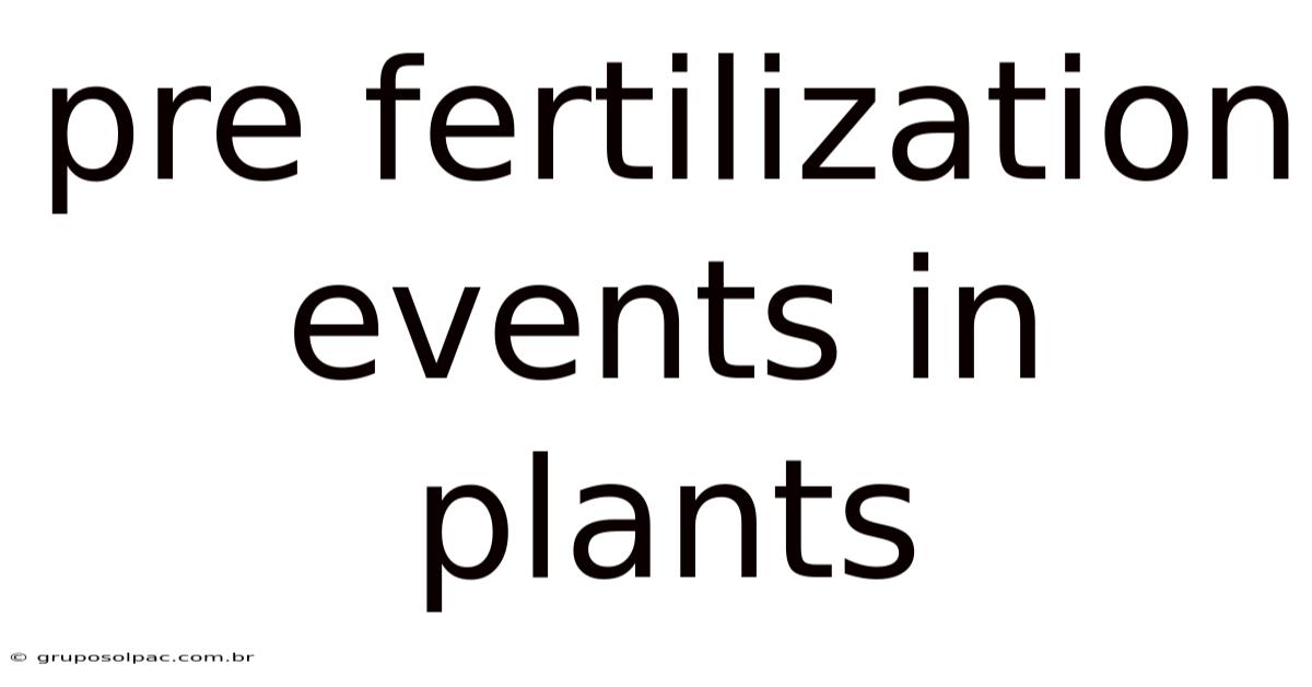 Pre Fertilization Events In Plants