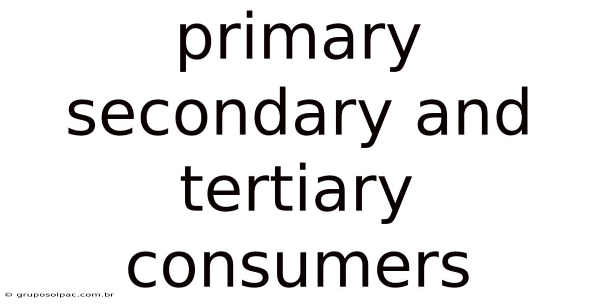Primary Secondary And Tertiary Consumers