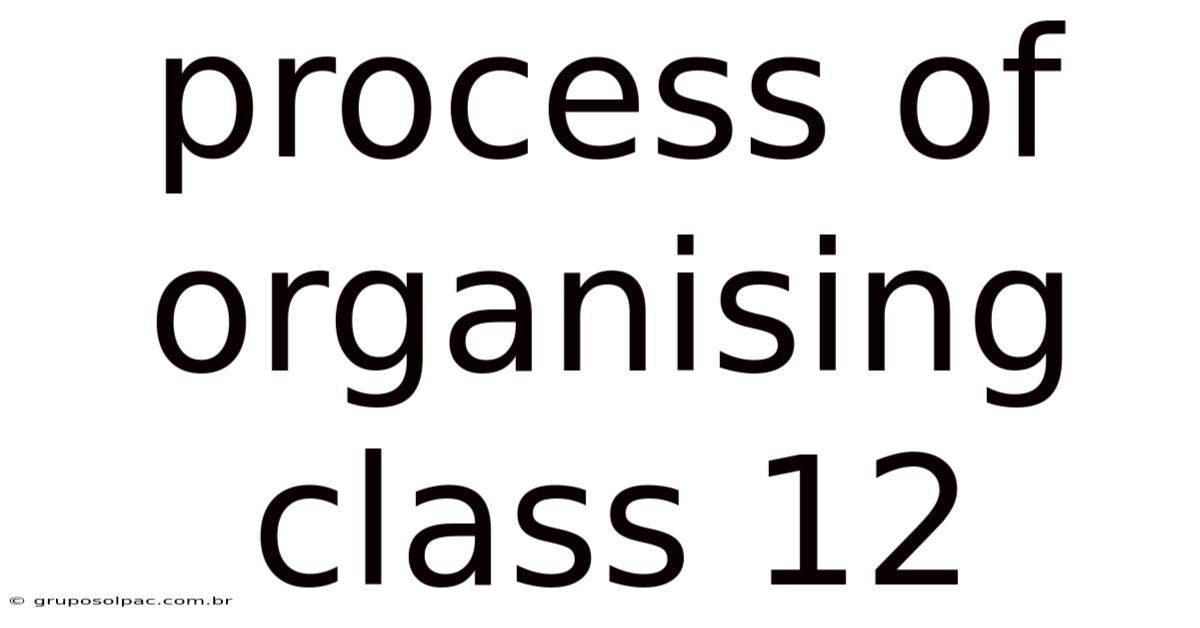 Process Of Organising Class 12