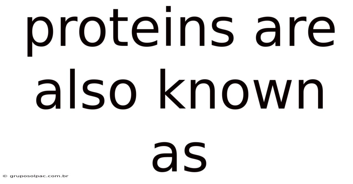 Proteins Are Also Known As