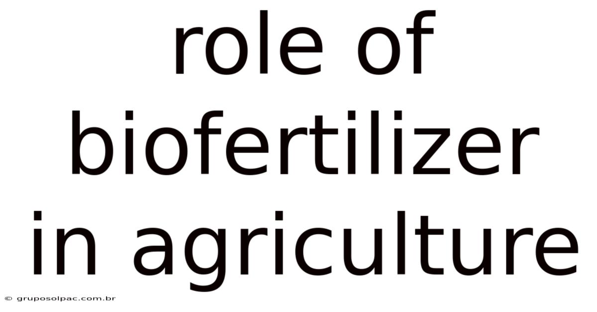 Role Of Biofertilizer In Agriculture