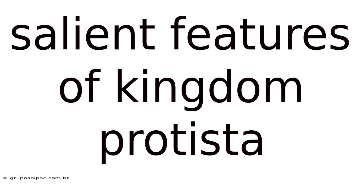 Salient Features Of Kingdom Protista
