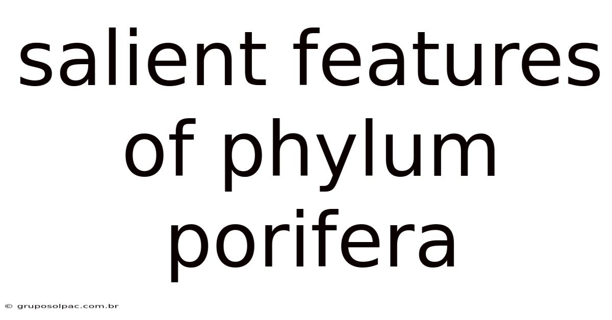 Salient Features Of Phylum Porifera
