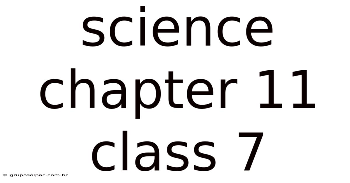 Science Chapter 11 Class 7