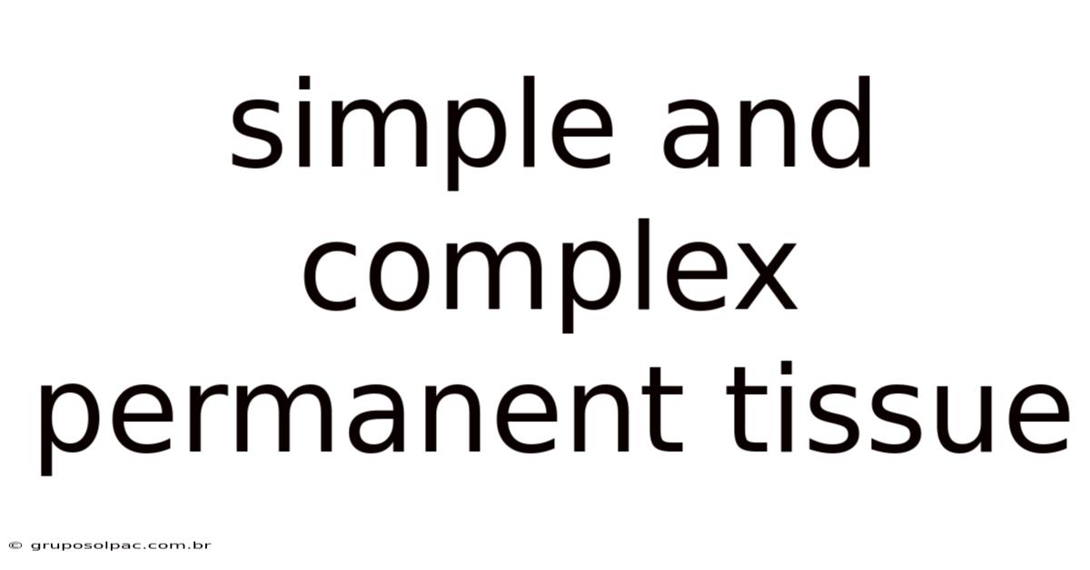 Simple And Complex Permanent Tissue