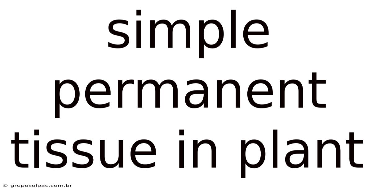 Simple Permanent Tissue In Plant