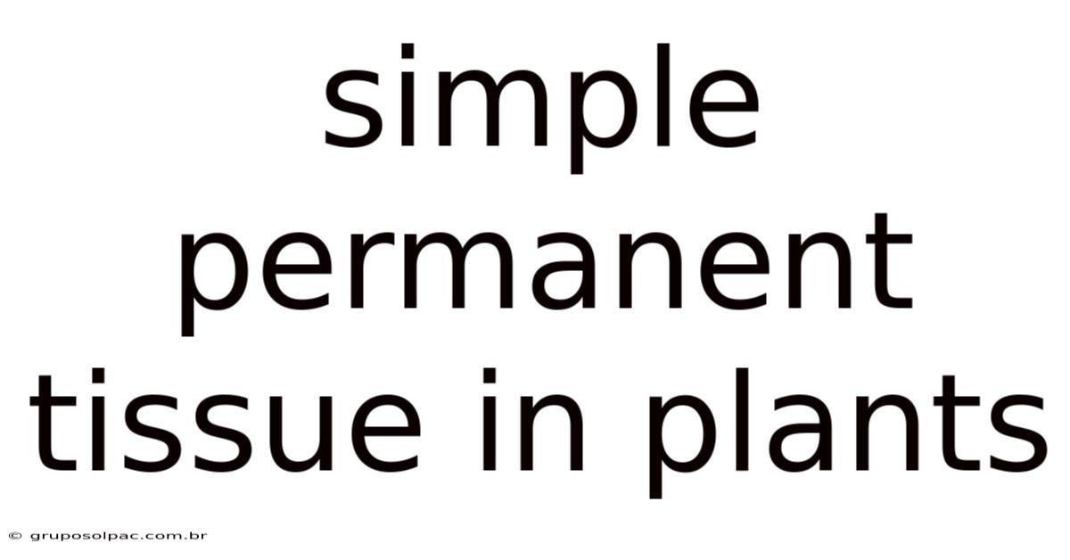 Simple Permanent Tissue In Plants