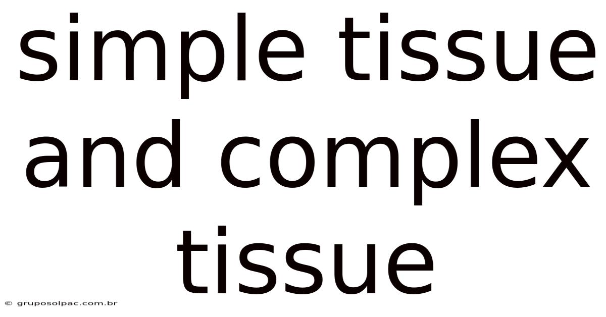 Simple Tissue And Complex Tissue