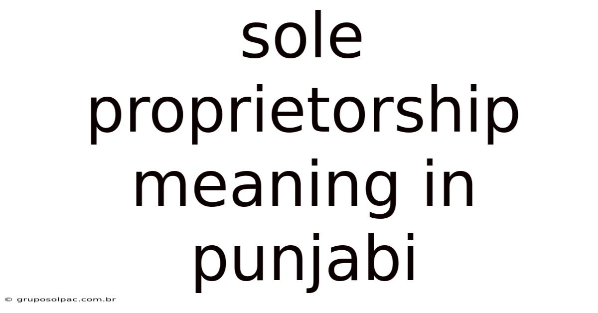 Sole Proprietorship Meaning In Punjabi