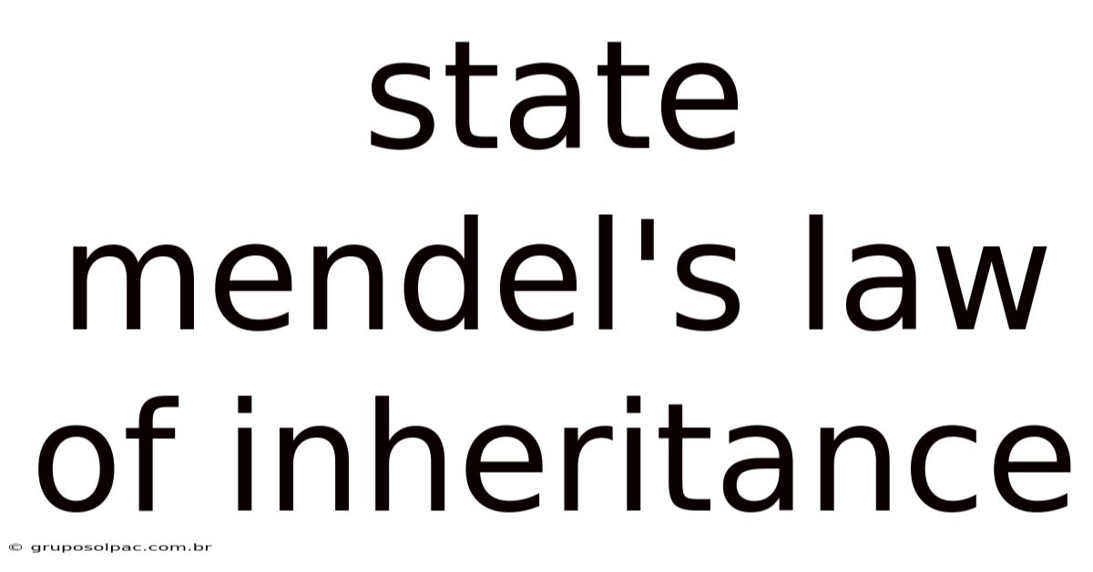 State Mendel's Law Of Inheritance