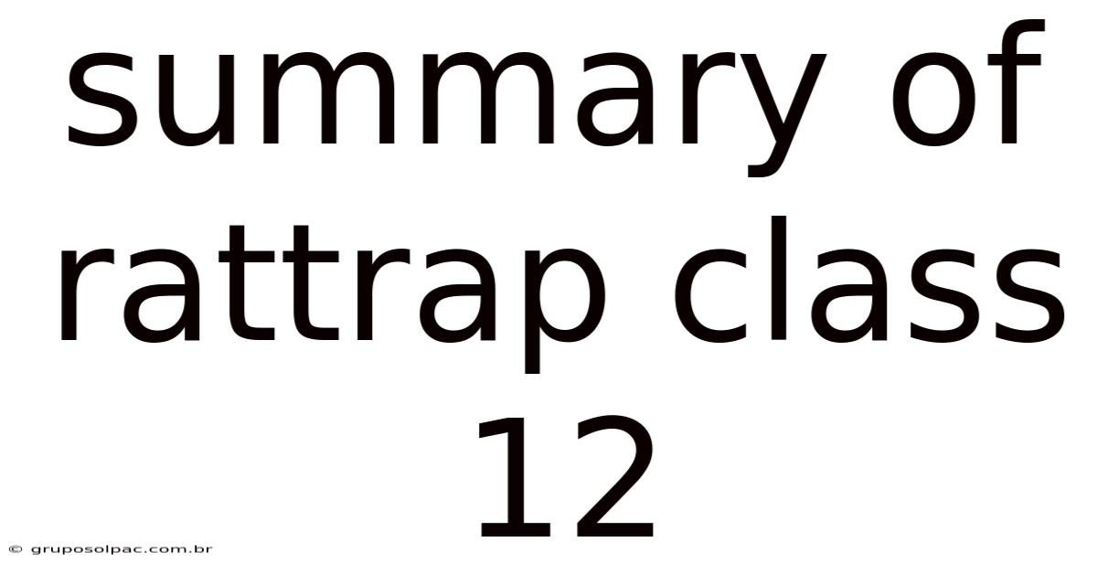 Summary Of Rattrap Class 12