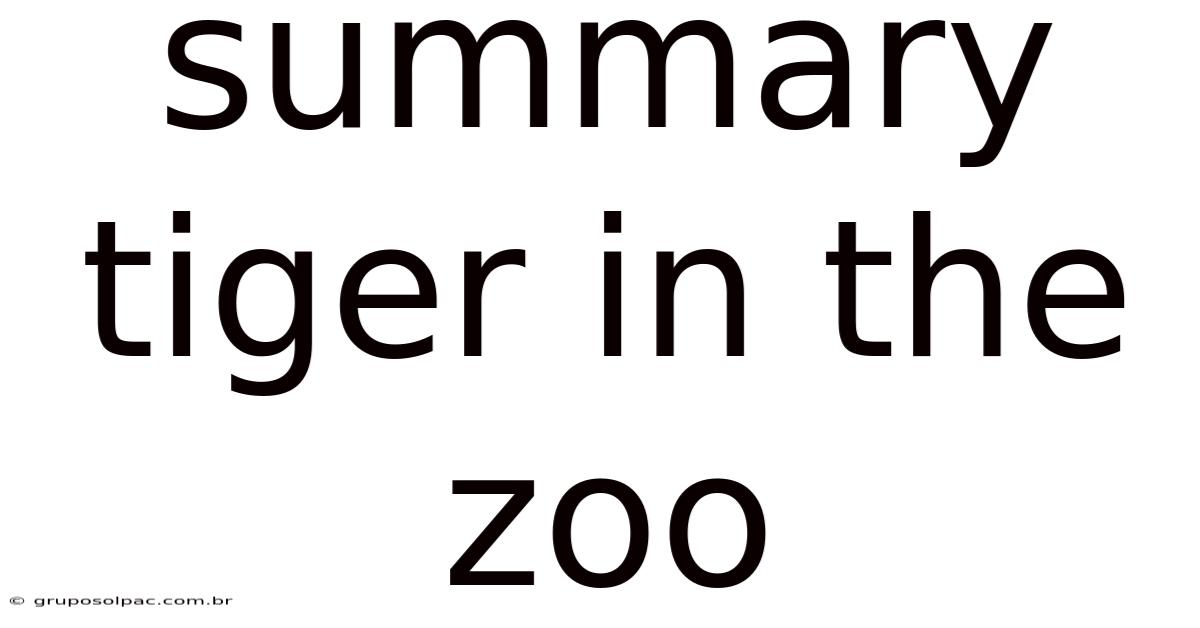 Summary Tiger In The Zoo
