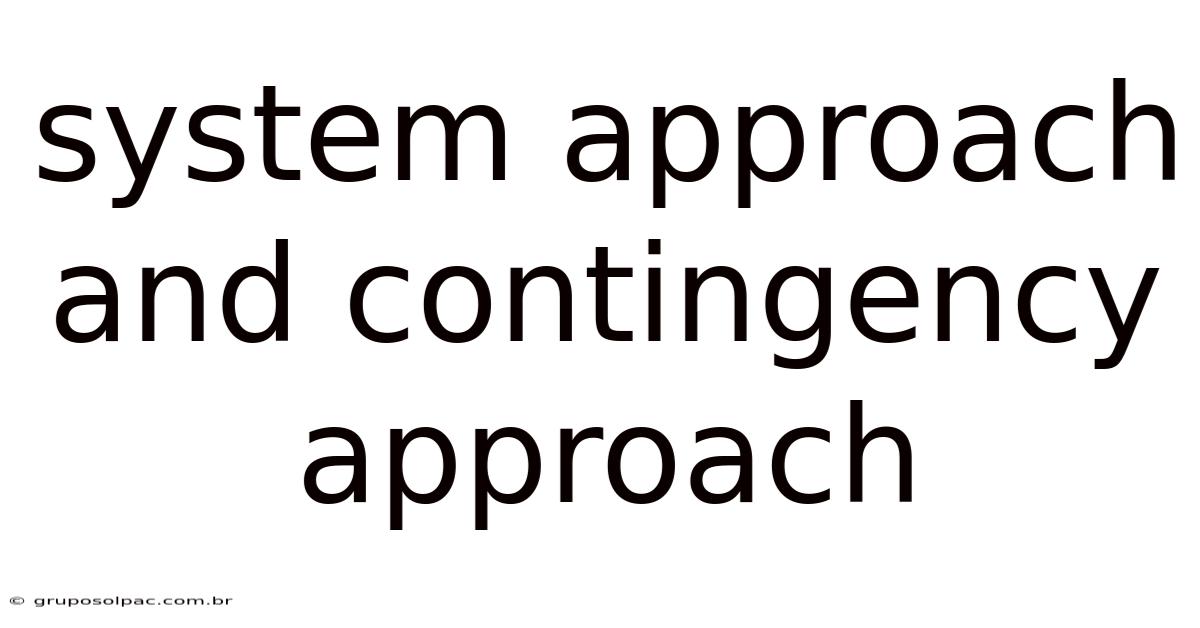 System Approach And Contingency Approach