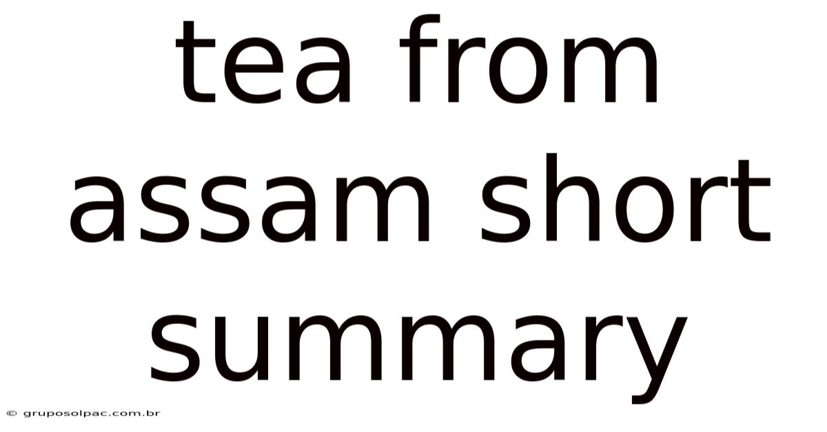 Tea From Assam Short Summary