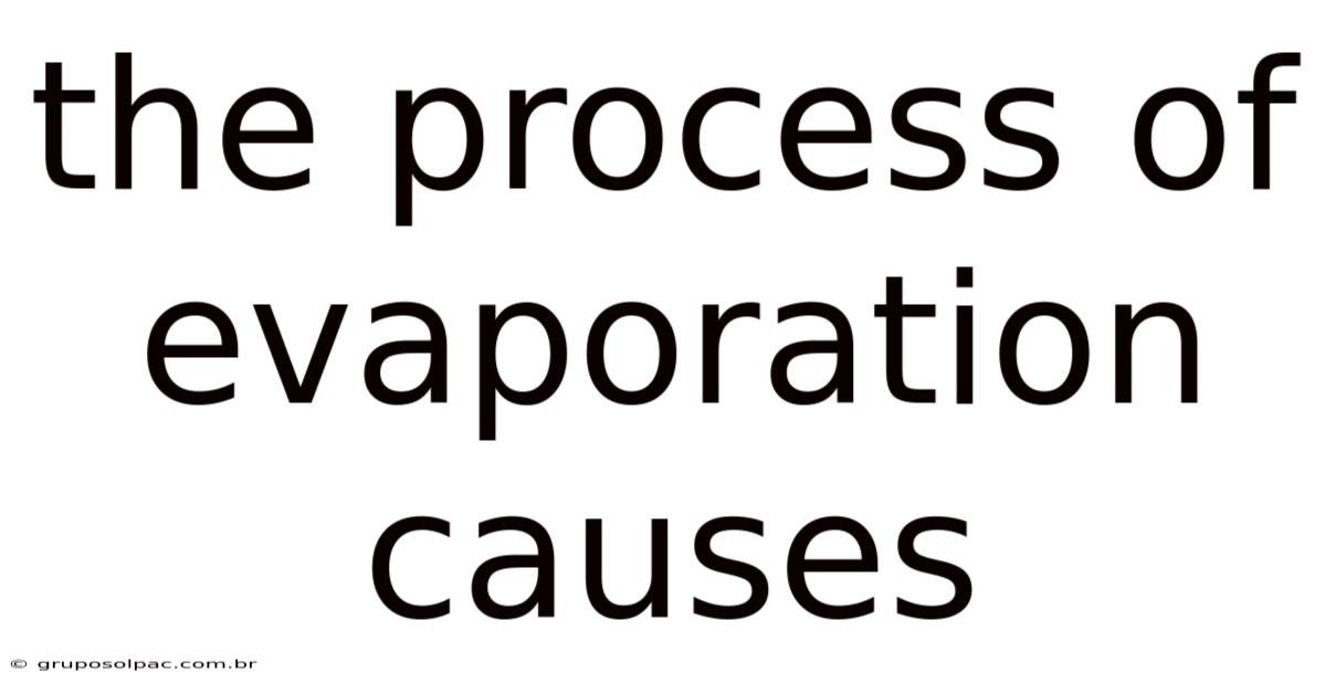 The Process Of Evaporation Causes