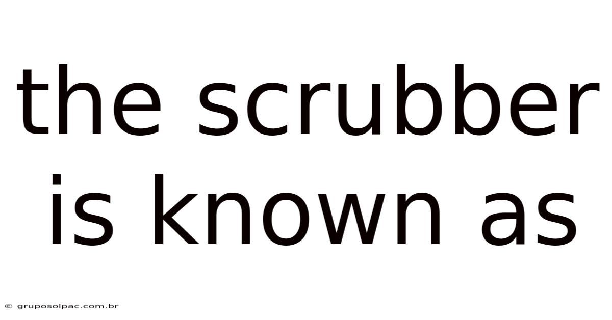 The Scrubber Is Known As