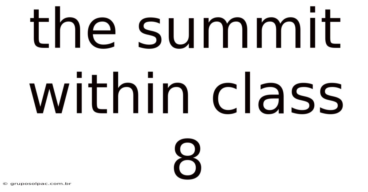 The Summit Within Class 8