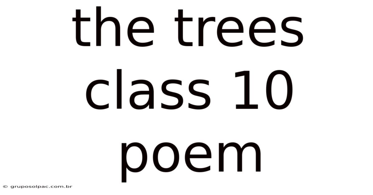 The Trees Class 10 Poem