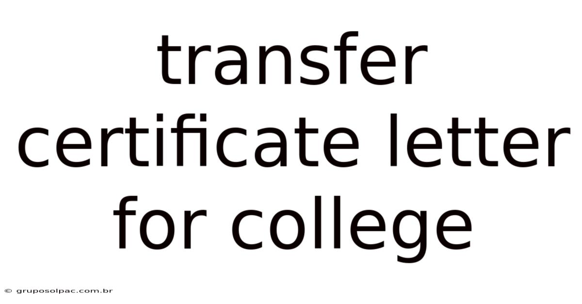 Transfer Certificate Letter For College