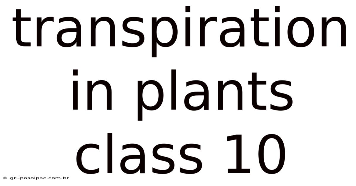 Transpiration In Plants Class 10