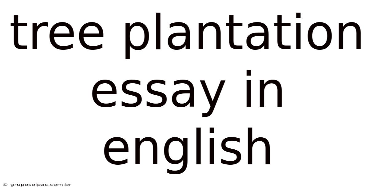 Tree Plantation Essay In English