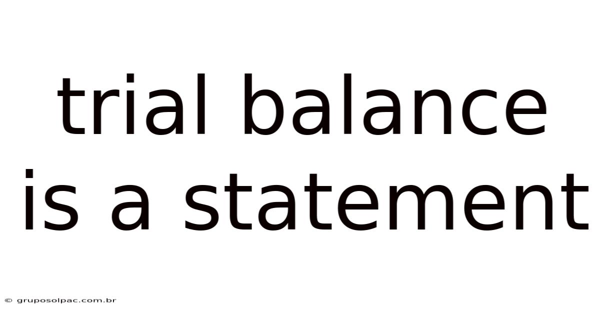 Trial Balance Is A Statement