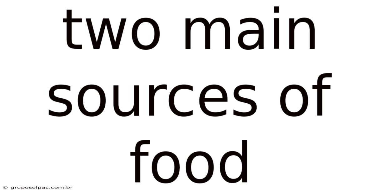 Two Main Sources Of Food