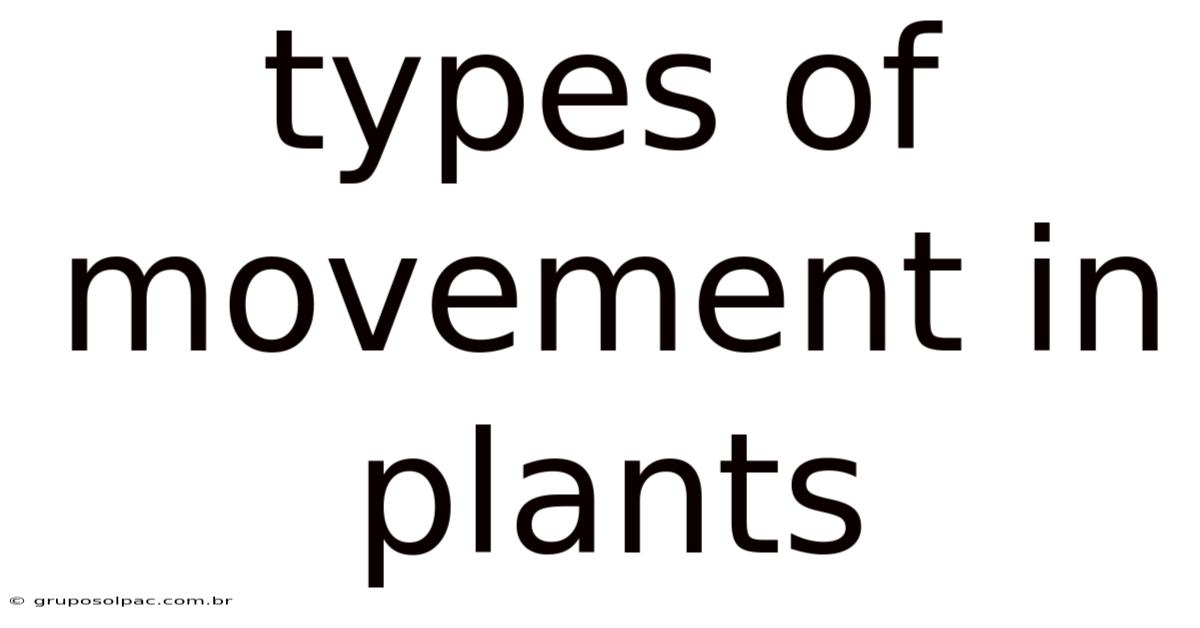 Types Of Movement In Plants