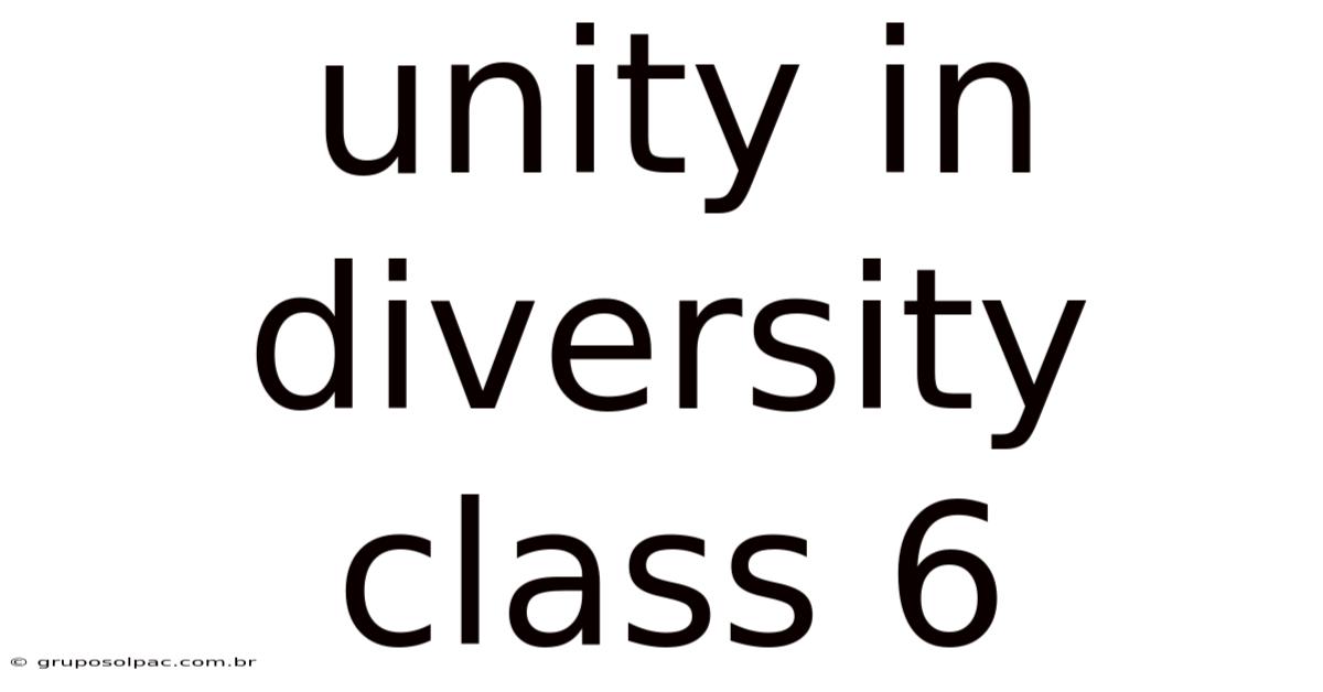 Unity In Diversity Class 6
