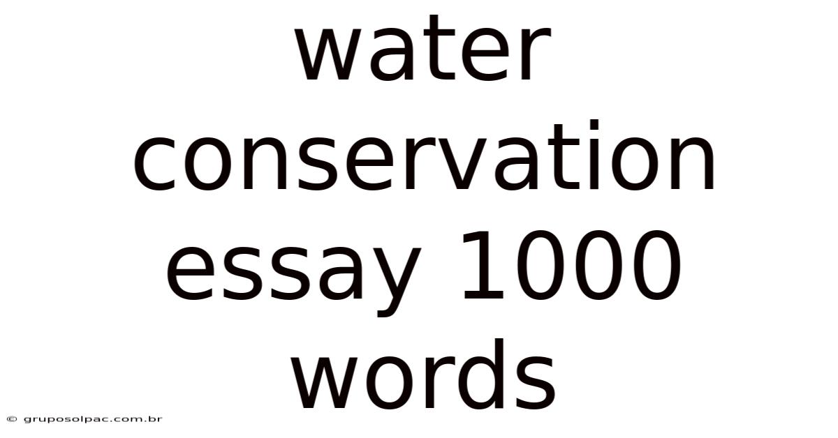 Water Conservation Essay 1000 Words