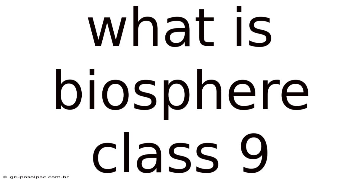 What Is Biosphere Class 9