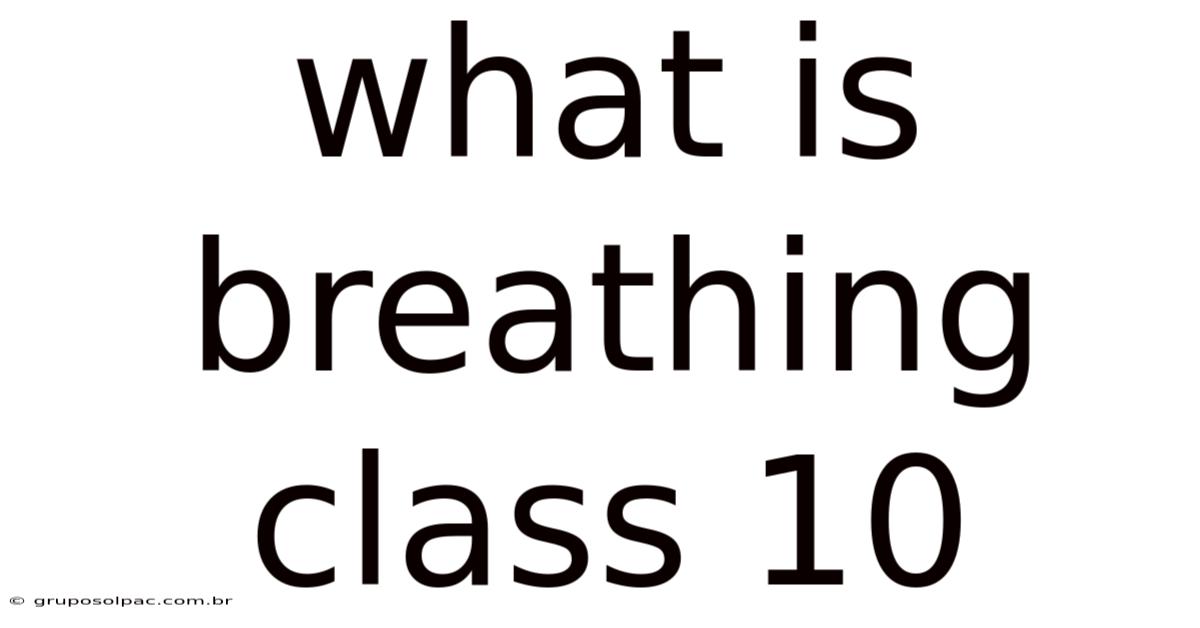 What Is Breathing Class 10