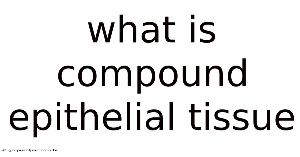 What Is Compound Epithelial Tissue