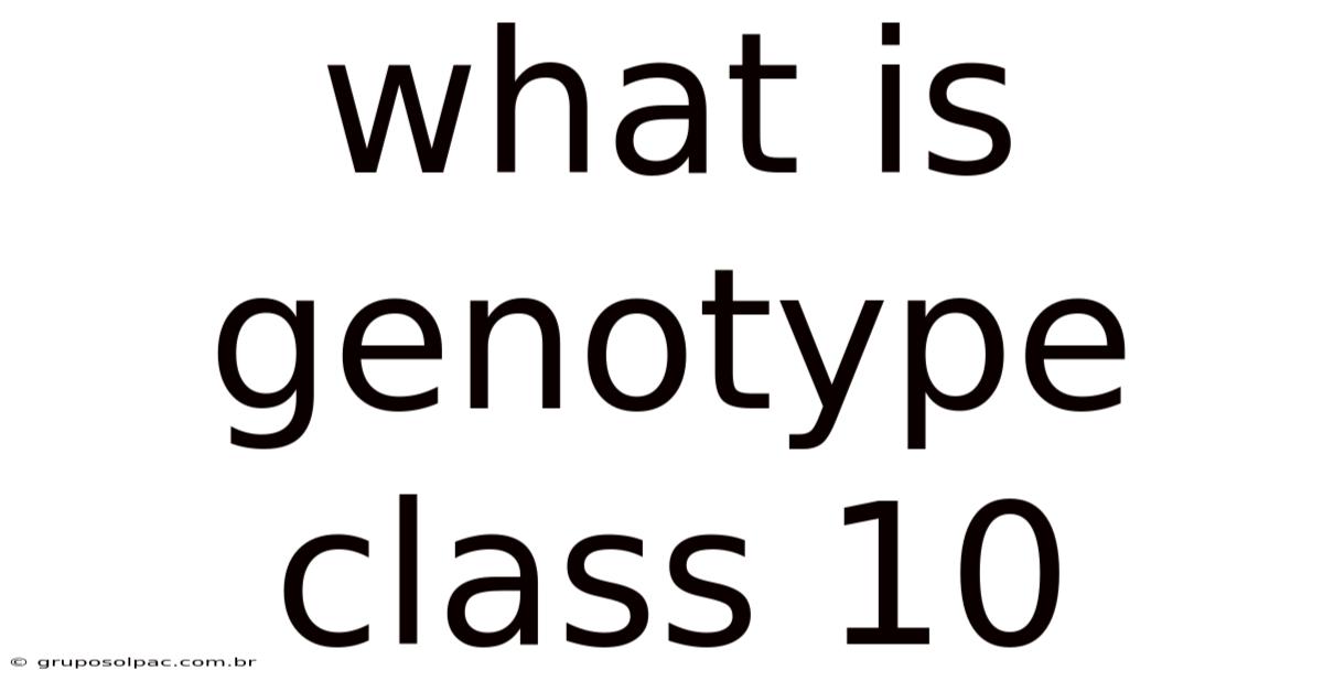 What Is Genotype Class 10