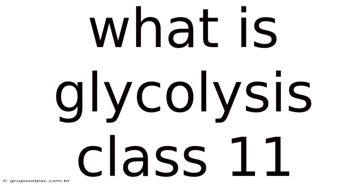 What Is Glycolysis Class 11