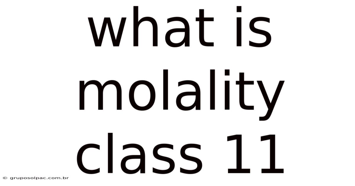 What Is Molality Class 11