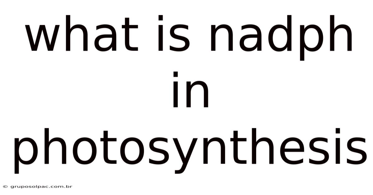 What Is Nadph In Photosynthesis