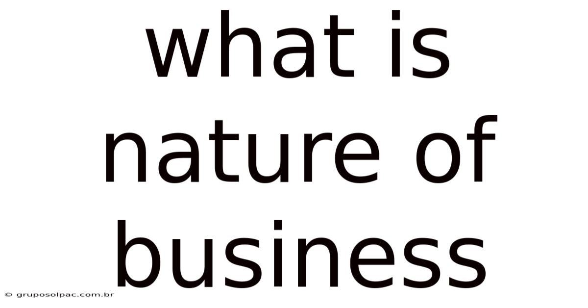 What Is Nature Of Business