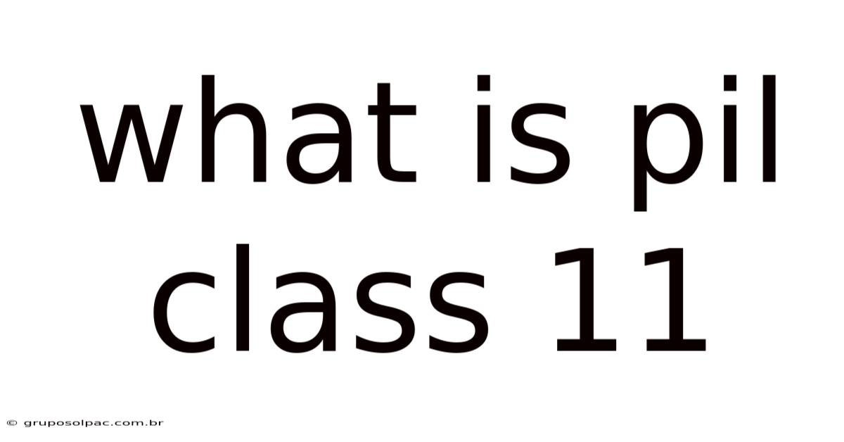 What Is Pil Class 11