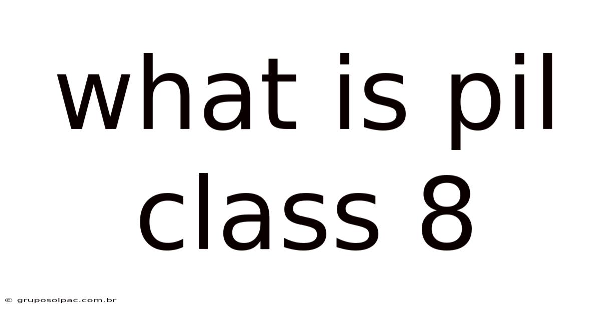 What Is Pil Class 8