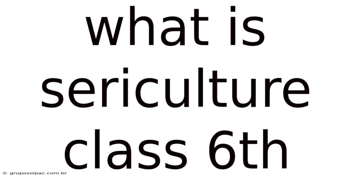 What Is Sericulture Class 6th