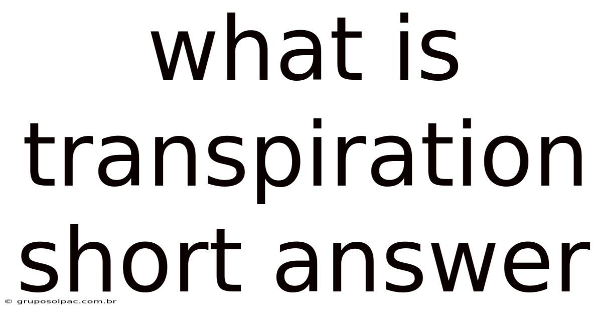 What Is Transpiration Short Answer