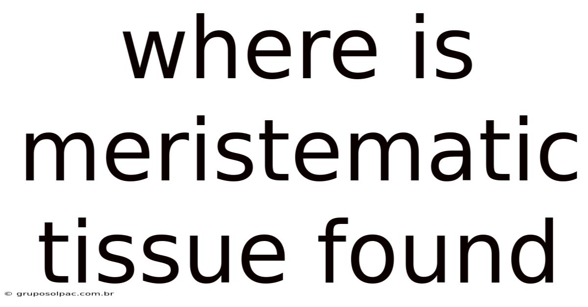 Where Is Meristematic Tissue Found