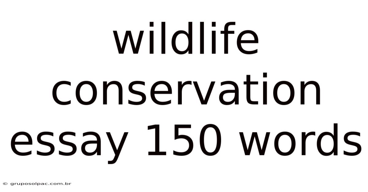 Wildlife Conservation Essay 150 Words